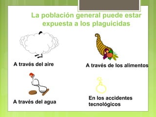 La población general puede estar
expuesta a los plaguicidas
A través del aire
A través del agua
A través de los alimentos
En los accidentes
tecnológicos
 