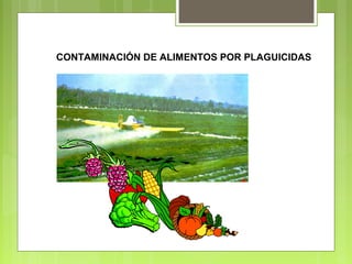 CONTAMINACIÓN DE ALIMENTOS POR PLAGUICIDAS
 