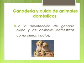 Ganadería y cuido de animales
domésticos
En la desinfección de ganado
ovino y de animales domésticos
como perros y gatos.
 