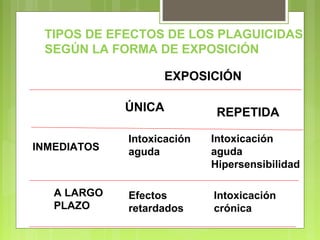 TIPOS DE EFECTOS DE LOS PLAGUICIDAS
SEGÚN LA FORMA DE EXPOSICIÓN
EXPOSICIÓN
ÚNICA REPETIDA
INMEDIATOS
A LARGO
PLAZO
Intoxicación
aguda
Efectos
retardados
Intoxicación
aguda
Hipersensibilidad
Intoxicación
crónica
 
