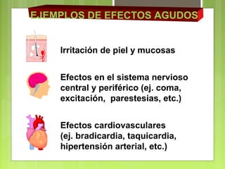 EJEMPLOS DE EFECTOS AGUDOS
Irritación de piel y mucosas
Efectos en el sistema nervioso
central y periférico (ej. coma,
excitación, parestesias, etc.)
Efectos cardiovasculares
(ej. bradicardia, taquicardia,
hipertensión arterial, etc.)
 