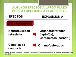 ALGUNOS EFECTOS A LARGO PLAZO
POR LA EXPOSICIÓN A PLAGUICIDAS
EFECTOS EXPOSICIÓN A
NEUROLÓGICOS
Neurotoxicidad
retardada
Cambios de
conducta
Organofosforados
(leptofós),
Carbamatos (carbaril)
Organofosforados
Fuente: Heano S., Finkelman J., Albert L. Y de Koning H. Plaguicidas y Salud en las Américas, Washington: OPS.
1993: 25-27
 