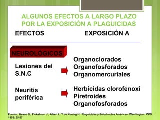 ALGUNOS EFECTOS A LARGO PLAZO
POR LA EXPOSICIÓN A PLAGUICIDAS
EFECTOS EXPOSICIÓN A
NEUROLÓGICOS
Organoclorados
Organofosforados
Organomercuriales
Lesiones del
S.N.C
Neuritis
periférica
Herbicidas clorofenoxi
Piretroides
Organofosforados
Fuente: Heano S., Finkelman J., Albert L. Y de Koning H. Plaguicidas y Salud en las Américas, Washington: OPS.
1993: 25-27
 