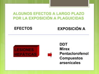 ALGUNOS EFECTOS A LARGO PLAZO
POR LA EXPOSICIÓN A PLAGUICIDAS
EFECTOS EXPOSICIÓN A
LESIONES
HEPÁTICAS
DDT
Mirex
Pentaclorofenol
Compuestos
arsenicales
 