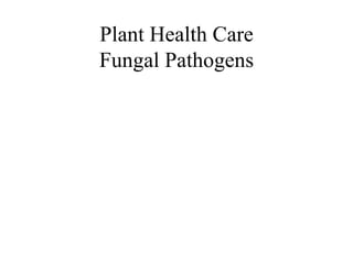 Plant Health Care Fungal Pathogens 