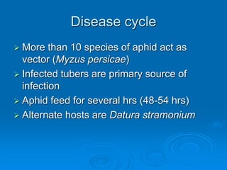 Disease cycle
➢ More than 10 species of aphid act as
vector (Myzus persicae)
➢ Infected tubers are primary source of
infection
➢ Aphid feed for several hrs (48-54 hrs)
➢ Alternate hosts are Datura stramonium
 