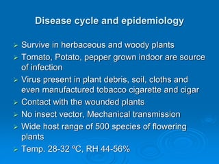 Disease cycle and epidemiology
➢ Survive in herbaceous and woody plants
➢ Tomato, Potato, pepper grown indoor are source
of infection
➢ Virus present in plant debris, soil, cloths and
even manufactured tobacco cigarette and cigar
➢ Contact with the wounded plants
➢ No insect vector, Mechanical transmission
➢ Wide host range of 500 species of flowering
plants
➢ Temp. 28-32 ºC, RH 44-56%
 