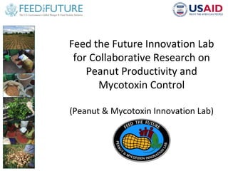 Feed the Future Innovation Lab
for Collaborative Research on
Peanut Productivity and
Mycotoxin Control
(Peanut & Mycotoxin Innovation Lab)
 