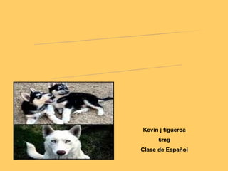Kevin j figueroa 6mg Clase de Español POEMARIO ELECTRÓNICO MI PERRO 
