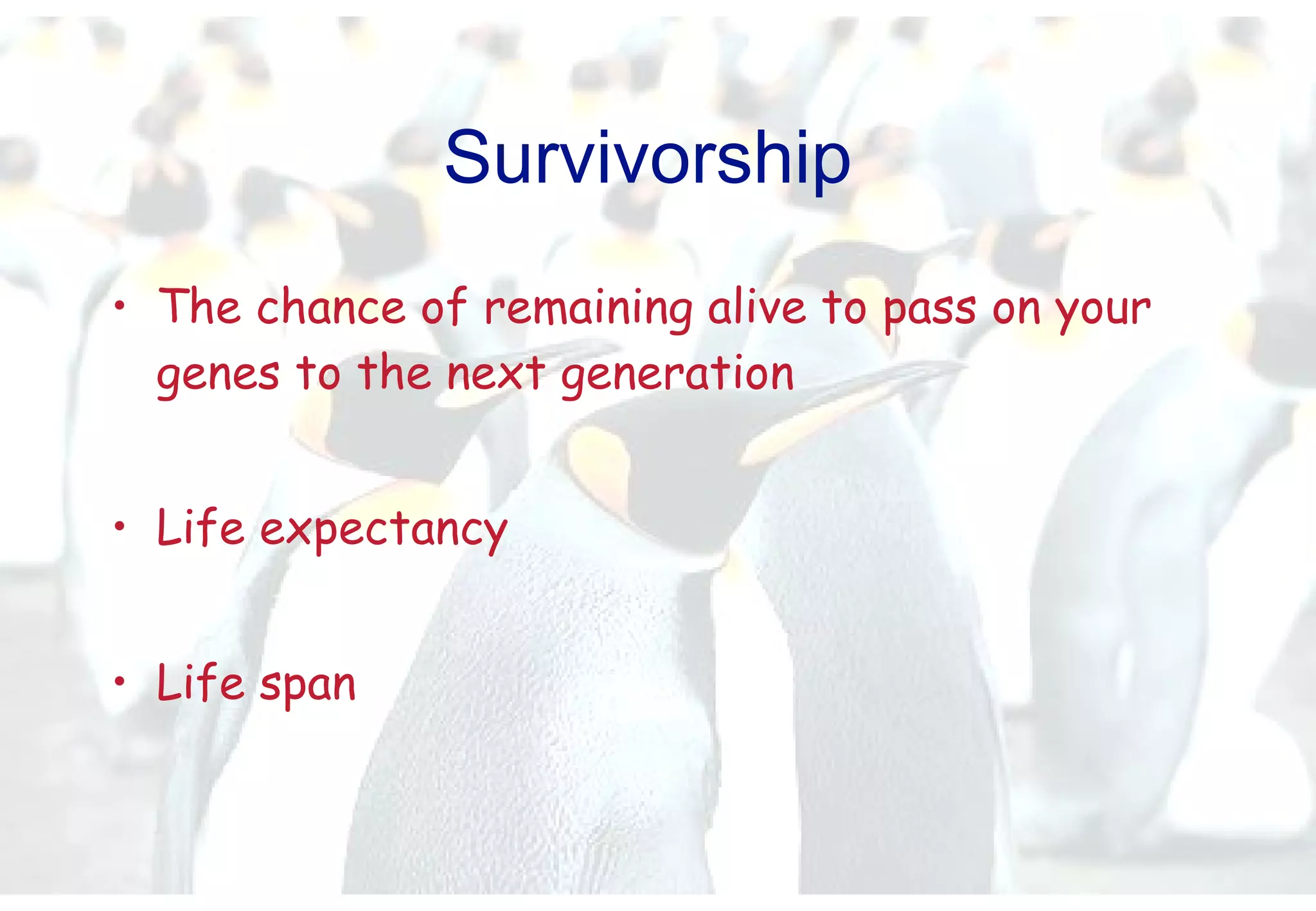 Survivorship  The chance of remaining alive to pass on your genes to the next generation Life expectancy Life span 