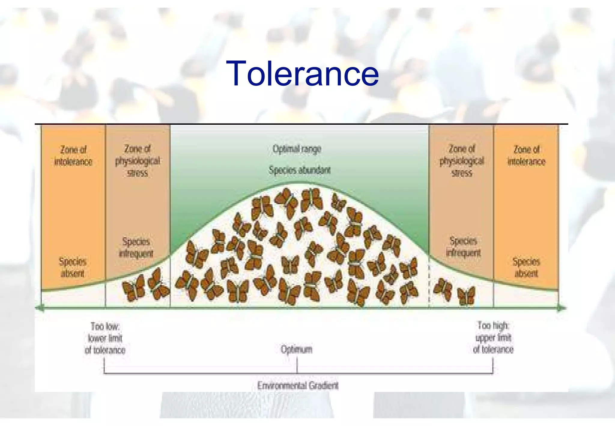 Tolerance  