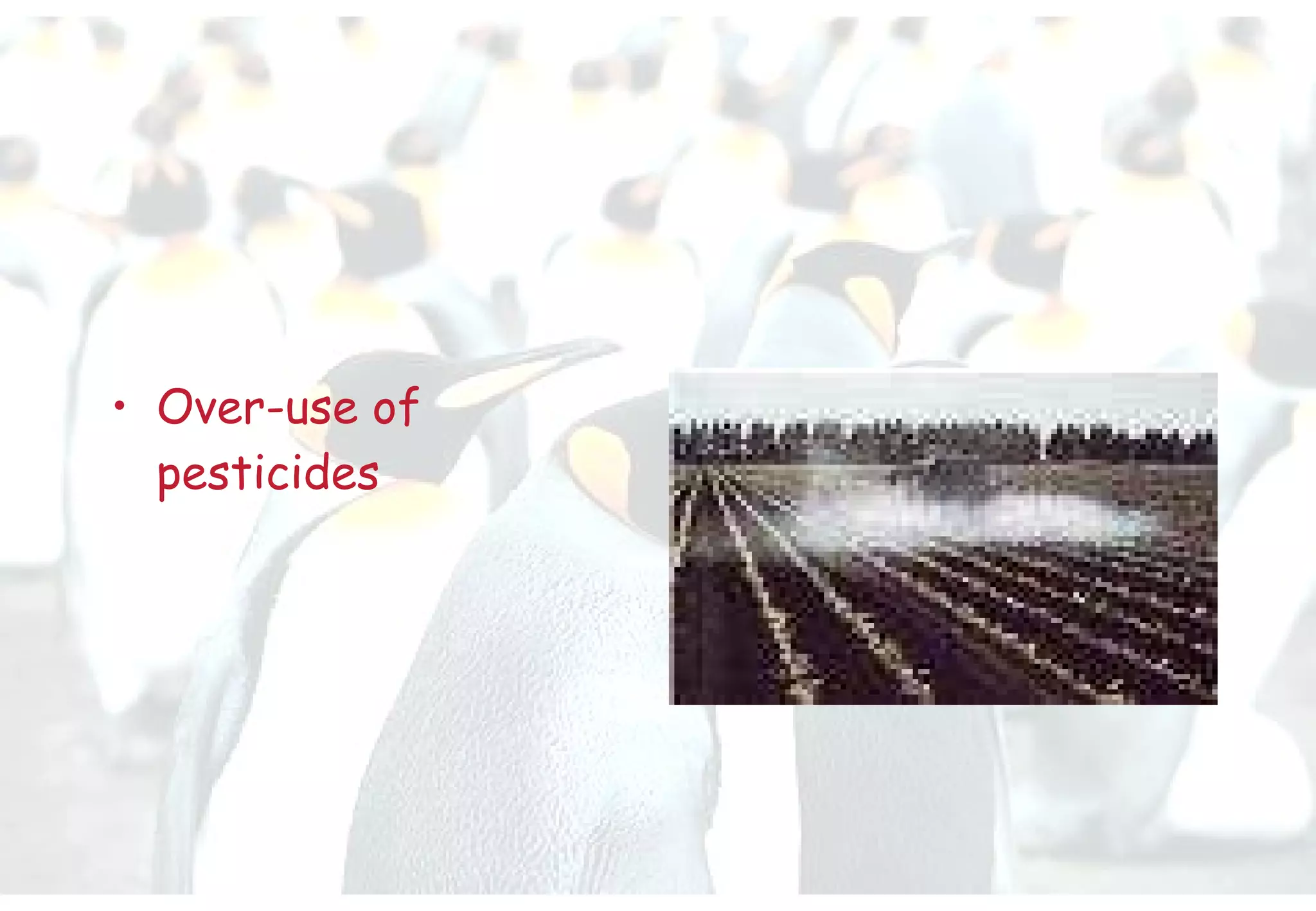 Over-use of pesticides 