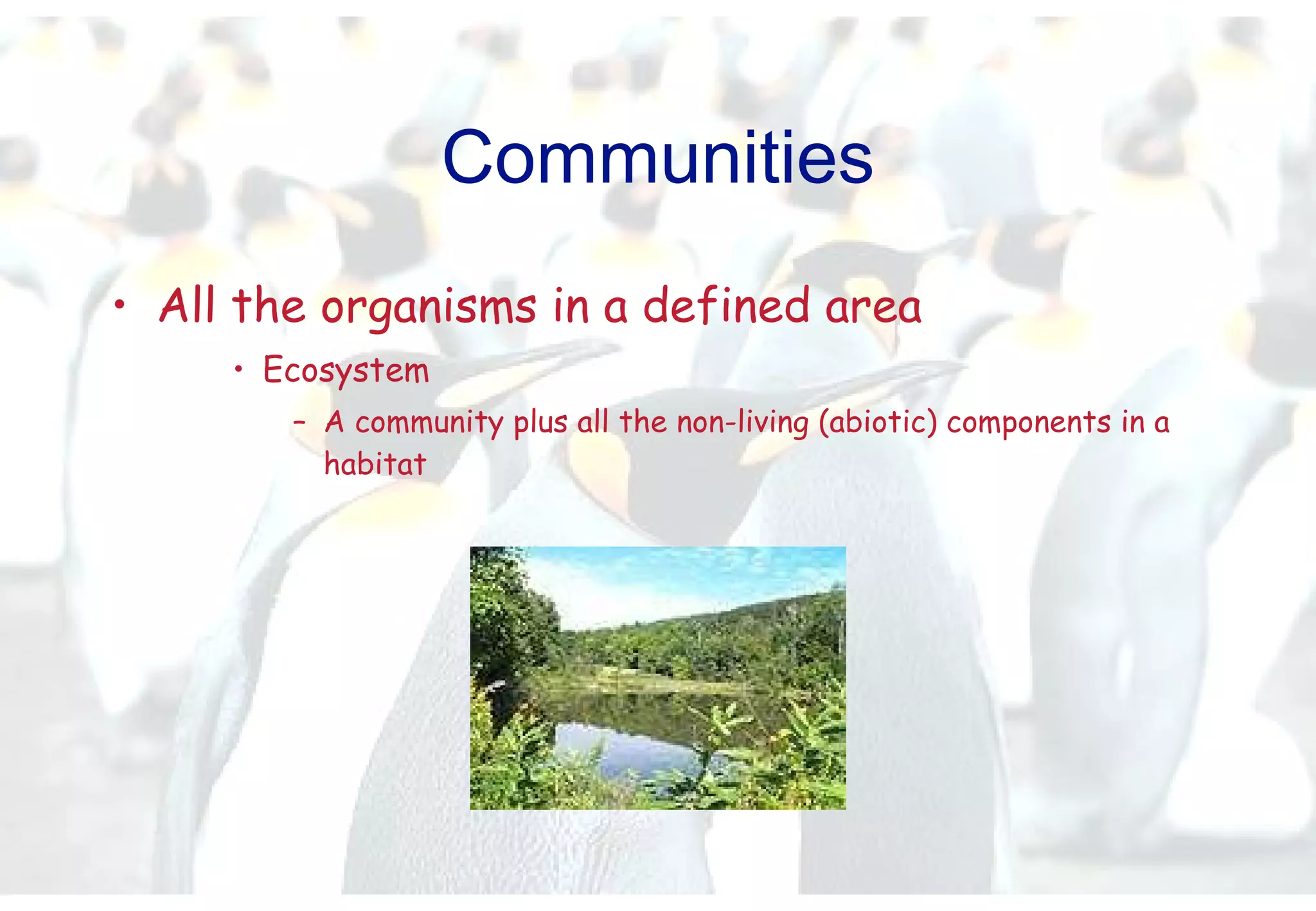 Communities All the organisms in a defined area Ecosystem A community plus all the non-living (abiotic) components in a habitat  