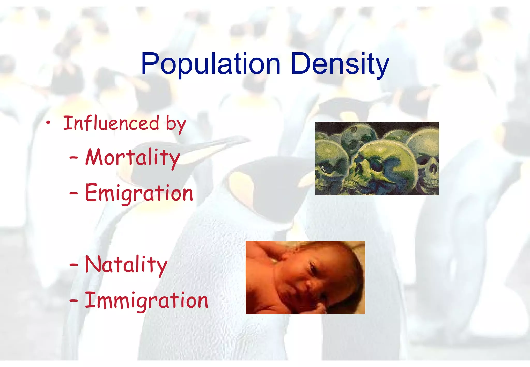 Population Density Influenced by Mortality Emigration  Natality Immigration 