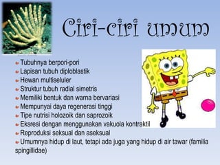 Ciri-ciri umum
  Tubuhnya berpori-pori
  Lapisan tubuh diploblastik
  Hewan multiseluler
  Struktur tubuh radial simetris
  Memiliki bentuk dan warna bervariasi
  Mempunyai daya regenerasi tinggi
  Tipe nutrisi holozoik dan saprozoik
  Eksresi dengan menggunakan vakuola kontraktil
  Reproduksi seksual dan aseksual
  Umumnya hidup di laut, tetapi ada juga yang hidup di air tawar (familia
spingillidae)
 