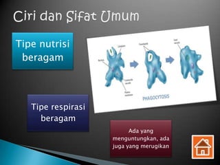 Tipe nutrisi
 beragam



   Tipe respirasi
     beragam
                          Ada yang
                    menguntungkan, ada
                    juga yang merugikan
 