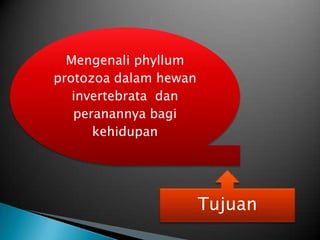 Mengenali phyllum
protozoa dalam hewan
   invertebrata dan
   peranannya bagi
      kehidupan




                       Tujuan
 