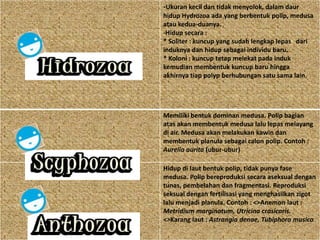 -Ukuran kecil dan tidak menyolok, dalam daur
hidup Hydrozoa ada yang berbentuk polip, medusa
atau kedua-duanya.
-Hidup secara :
* Soliter : kuncup yang sudah lengkap lepas dari
induknya dan hidup sebagai individu baru.
* Koloni : kuncup tetap melekat pada induk
kemudian membentuk kuncup baru hingga
akhirnya tiap polyp berhubungan satu sama lain.




Memiliki bentuk dominan medusa. Polip bagian
atas akan membentuk medusa lalu lepas melayang
di air. Medusa akan melakukan kawin dan
membentuk planula sebagai calon polip. Contoh :
Aurelia aurita (ubur-ubur)

Hidup di laut bentuk polip, tidak punya fase
medusa. Polip bereproduksi secara aseksual dengan
tunas, pembelahan dan fragmentasi. Reproduksi
seksual dengan fertilisasi yang menghasilkan zigot
lalu menjadi planula. Contoh : <>Anemon laut :
Metridium marginatum, Utricina crasicaris.
<>Karang laut : Astrangia denae, Tubiphora musica
 
