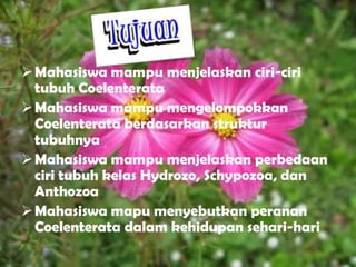  Mahasiswa mampu menjelaskan ciri-ciri
  tubuh Coelenterata
 Mahasiswa mampu mengelompokkan
  Coelenterata berdasarkan struktur
  tubuhnya
 Mahasiswa mampu menjelaskan perbedaan
  ciri tubuh kelas Hydrozo, Schypozoa, dan
  Anthozoa
 Mahasiswa mapu menyebutkan peranan
  Coelenterata dalam kehidupan sehari-hari
 