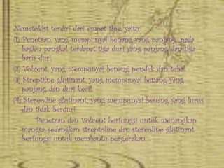 Nematokist terdiri dari empat tipe, yaitu:
(1) Penetran, yang mempunyai benang yang panjang ,pada
    bagian pangkal terdapat tiga duri yang panjang dan tiga
    baris duri.
(2) Volvent, yang mempunyai benang pendek dan tebal.
(3) Streptilne glutinant, yang mempunyai benang yang
    panjang dan duri kecil.
(4) Stereoline glutinant, yang mempunyai benang yang lurus
    dan tidak berduri
         Penetran dan Volvent berfungsi untuk menangkap
    mangsa, sedangkan streptoline dan stereoline glutinant
    berfungsi untuk membantu pergerakan.
 