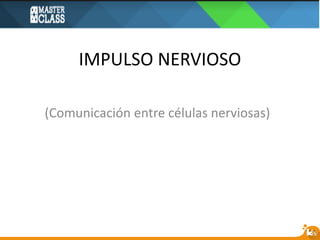 IMPULSO NERVIOSO
(Comunicación entre células nerviosas)
 