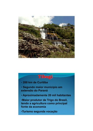 26/11/2009




            Tibagi
• 200 km de Curitiba
• Segundo maior município em
extensão do Paraná
• Aproximadamente 20 mil habitantes
•Maior produtor de Trigo do Brasil,
  a o p oduto         go      as ,
tendo a agricultura como principal
fonte da economia
•Turismo segunda vocação




                                              2
 