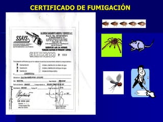 CERTIFICADO DE FUMIGACIÓN
 