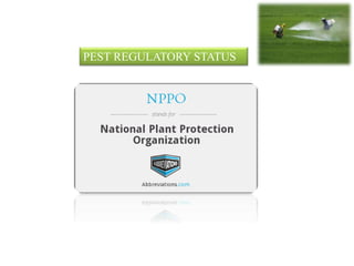 Pest Status Pest risk analysis-Pest risk analysis (PRA) | PPTX