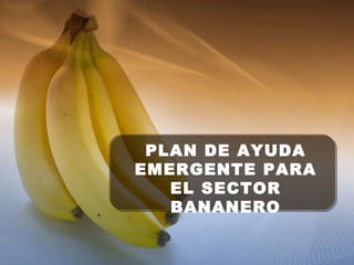 PLAN DE AYUDA EMERGENTE PARA EL SECTOR BANANERO 