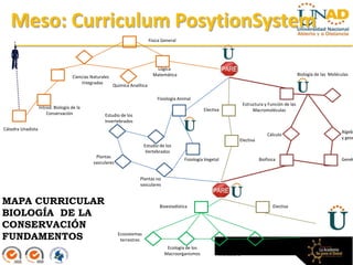 Meso: Curriculum PosytionSystem
                                                                             Física General




                                                                                Lógica
                                                                               Matemática                                                                 Biología de las Moléculas
                                    Ciencias Naturales
                                        Integradas
                                                         Química Analítica

                                                                                 Fisiología Animal
                                                                                                                            Estructura y Función de las
                   Introd. Biología de la                                                               Electiva                 Macromoléculas
                       Conservación                Estudio de los
                                                   Invertebrados
Cátedra Unadista
                                                                                                                                                                               Algebr
                                                                                                                                        Cálculo
                                                                                                                        Electiva                                               y geom
                                                                         Estudio de los
                                                                          Vertebrados
                                               Plantas
                                                                                              Fisiología Vegetal                    Biofísica                                  Genét
                                              vasculares


                                                                      Plantas no
                                                                      vasculares


MAPA CURRICULAR                                                                   Bioestadística                                           Electiva
BIOLOGÍA DE LA
CONSERVACIÓN
FUNDAMENTOS                                                Ecosistemas
                                                            terrestres
                                                                                      Ecología de los           Ecología            Ecosistemas
                                                                                     Macroorganismos           Microbiana             Marinos
 
