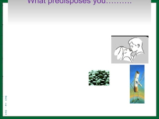 What predisposes you……….HH
uu
mm
aa
nn
pp
aa
pp
ii
ll
ll
oo
mm
aa
vv
ii
rr
uu
ss
ii
nn
ff
ee
cc
tt
ii
oo
nn
((
HH
PP
VV
))
––
PP
rr
ii
mm
aa
rr
yy
ff
aa
cc
tt
oo
rr
– HH
PP
VV
11
66
,,
HH
PP
VV
11
 