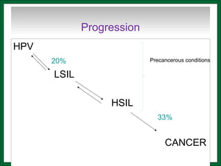 Progression
HPV
20%
LSIL
HSIL
33%
CANCER
Precancerous conditions
 