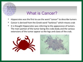 What is Cancer?
 Hippocrates was the first to use the word “cancer” to describe tumors
 Cancer is derived from the Greek word “karkinos” which means crab
 It is thought Hippocrates was referring to the appearance of tumors.
The main portion of the tumor being the crabs body and the various
extensions of the tumor appear as the legs and claws of the crab.
 