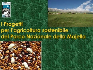 I Progetti
per l’agricoltura sostenibile
del Parco Nazionale della Majella
 