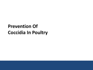 Prevention Of
Coccidia in Poultry
 