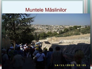 Muntele Măslinilor 