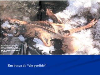 Em busca do “elo perdido” 