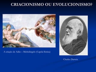 CRIACIONISMO OU EVOLUCIONISMO? A criação de Adão – Michelângelo (Capela Sistina) Charles Darwin 