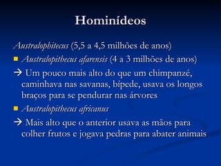 Hominídeos Australophitecus  (5,5 a 4,5 milhões de anos) Australopithecus afarensis  (4 a 3 milhões de anos)    Um pouco mais alto do que um chimpanzé, caminhava nas savanas, bípede, usava os longos braços para se pendurar nas árvores Australopithecus africanus    Mais alto que o anterior usava as mãos para colher frutos e jogava pedras para abater animais 