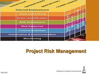 Project Risk Management Dec 2010 
