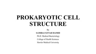 PROKARYOTIC CELL
STRUCTURE
By
SAMIRA FATTAH HAMID
Ph.D. Medical Bacteriology
College of Health Sciences
Hawler Medical University
 