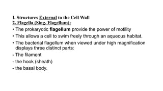 I. Structures External to the Cell Wall
2. Flagella (Sing. Flagellum):
• The prokaryotic flagellum provide the power of motility
• This allows a cell to swim freely through an aqueous habitat.
• The bacterial flagellum when viewed under high magnification
displays three distinct parts:
- The filament
- the hook (sheath)
- the basal body.
 