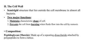 II. The Cell Wall
• Semirigid structure that lies outside the cell membrane in almost all
bacteria.
• Two major functions:
1. Maintains characteristic shape of cell.
2. Prevents the cell from bursting when fluids flow into the cell by osmosis.
• Composition:
Peptidoglycan (Murein): Made up of a repeating disaccharide attached by
polypeptides to form a lattice.
 