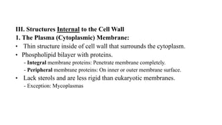 III. Structures Internal to the Cell Wall
1. The Plasma (Cytoplasmic) Membrane:
• Thin structure inside of cell wall that surrounds the cytoplasm.
• Phospholipid bilayer with proteins.
- Integral membrane proteins: Penetrate membrane completely.
- Peripheral membrane proteins: On inner or outer membrane surface.
• Lack sterols and are less rigid than eukaryotic membranes.
- Exception: Mycoplasmas
 