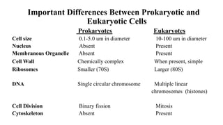Important Differences Between Prokaryotic and
Eukaryotic Cells
Prokaryotes Eukaryotes
Cell size 0.1-5.0 um in diameter 10-100 um in diameter
Nucleus Absent Present
Membranous Organelle Absent Present
Cell Wall Chemically complex When present, simple
Ribosomes Smaller (70S) Larger (80S)
DNA Single circular chromosome Multiple linear
chromosomes (histones)
Cell Division Binary fission Mitosis
Cytoskeleton Absent Present
 