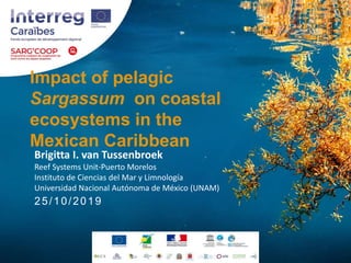 Impact of pelagic
Sargassum on coastal
ecosystems in the
Mexican Caribbean
25/10/2019
Brigitta I. van Tussenbroek
Reef Sys...
