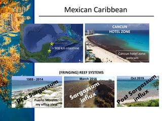 CANCUN
HOTEL ZONE
1989 - 2014 March 2018 Oct 2019
Cancun hotel zone:
webcam
Mexican Caribbean
(FRINGING) REEF SYSTEMS
Puer...