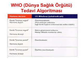 WHO (Dünya Sağlık Örğütü) Tedavi Algoritması 