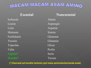 Esensial                         Nonesensial
Isoleusin                          Alanin
Leusin                             Asparagin
Lisin                              Aspartat
Metionin                           Sistein
Fenilalanin                        Glutamat
Treonin                            Glutamin
Triptofan                          Glisin
Valin                              Prolin
Arginin*                           Serin
Histidin*                          Tirosin
 (*) Esensial pd kondisi tertentu (pd masa pertumbuhan/anak-anak)
 