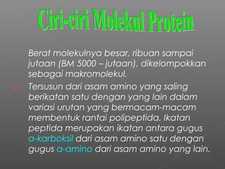 1.   Berat molekulnya besar, ribuan sampai
     jutaan (BM 5000 – jutaan), dikelompokkan
     sebagai makromolekul.
2.   Tersusun dari asam amino yang saling
     berikatan satu dengan yang lain dalam
     variasi urutan yang bermacam-macam
     membentuk rantai polipeptida. Ikatan
     peptida merupakan ikatan antara gugus
     α-karboksil dari asam amino satu dengan
     gugus α-amino dari asam amino yang lain.
 